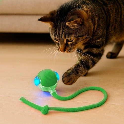 Pelota Inteligente Con Cuerda